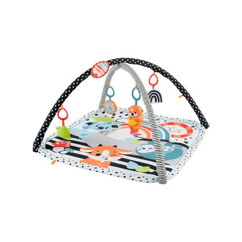 Fisher Price 3-In-1 Music, Glow & Grow Gym