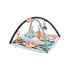 Fisher Price 3-In-1 Music, Glow & Grow Gym