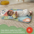 Fisher Price Sustain Roly Poly Panda Play Mat