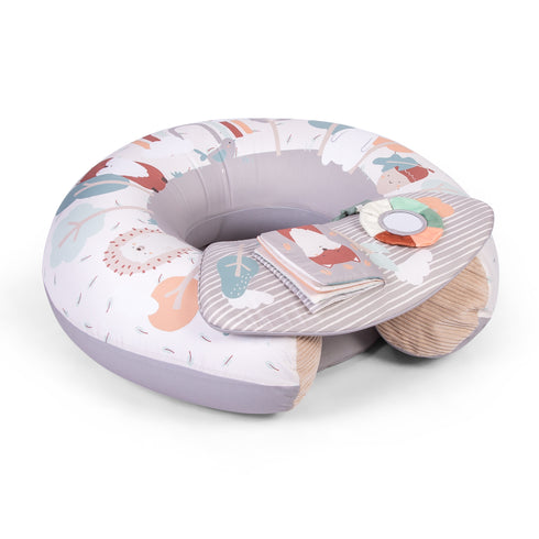 Red Kite Sit Me Up Woodlands Walks