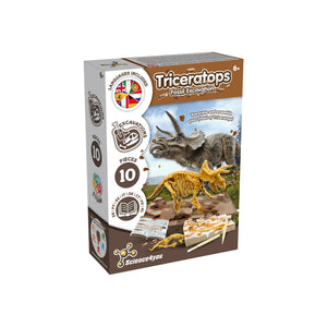 Triceratops Fossil Excavation