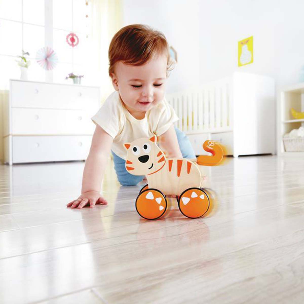 Hape Dante Push & Go!