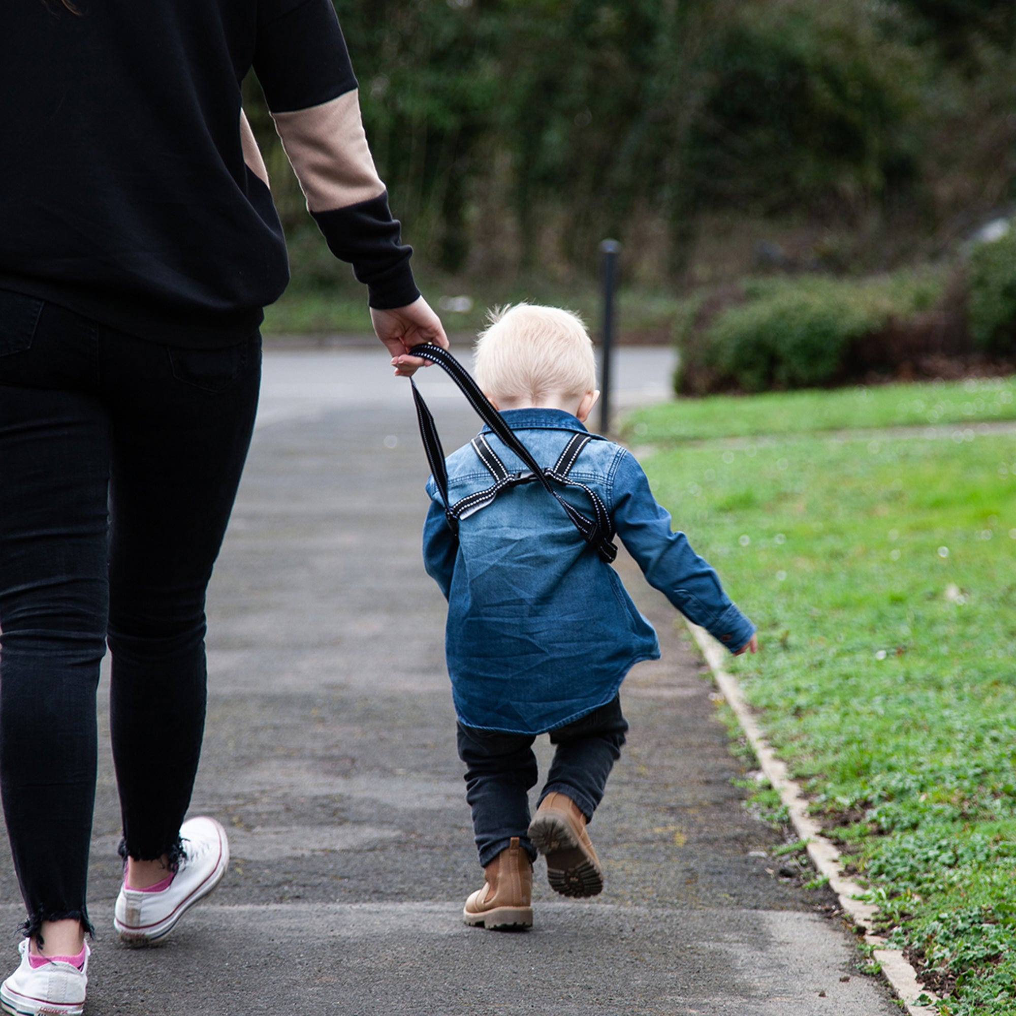 Red Kite Harness & Reins Black