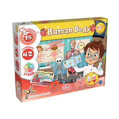 Human Body