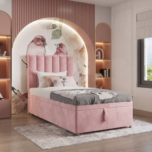 Plush Velvet Pink