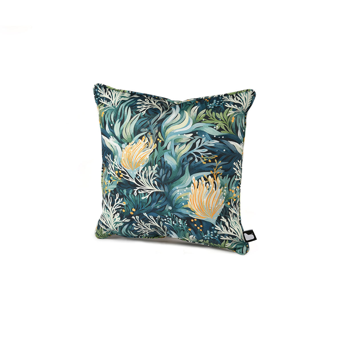 Reef