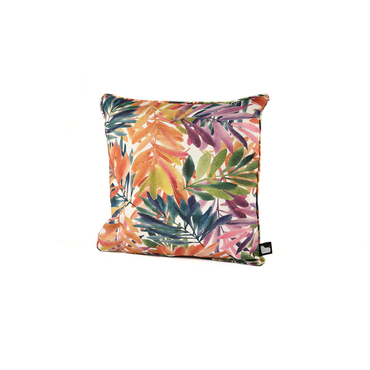 Palm